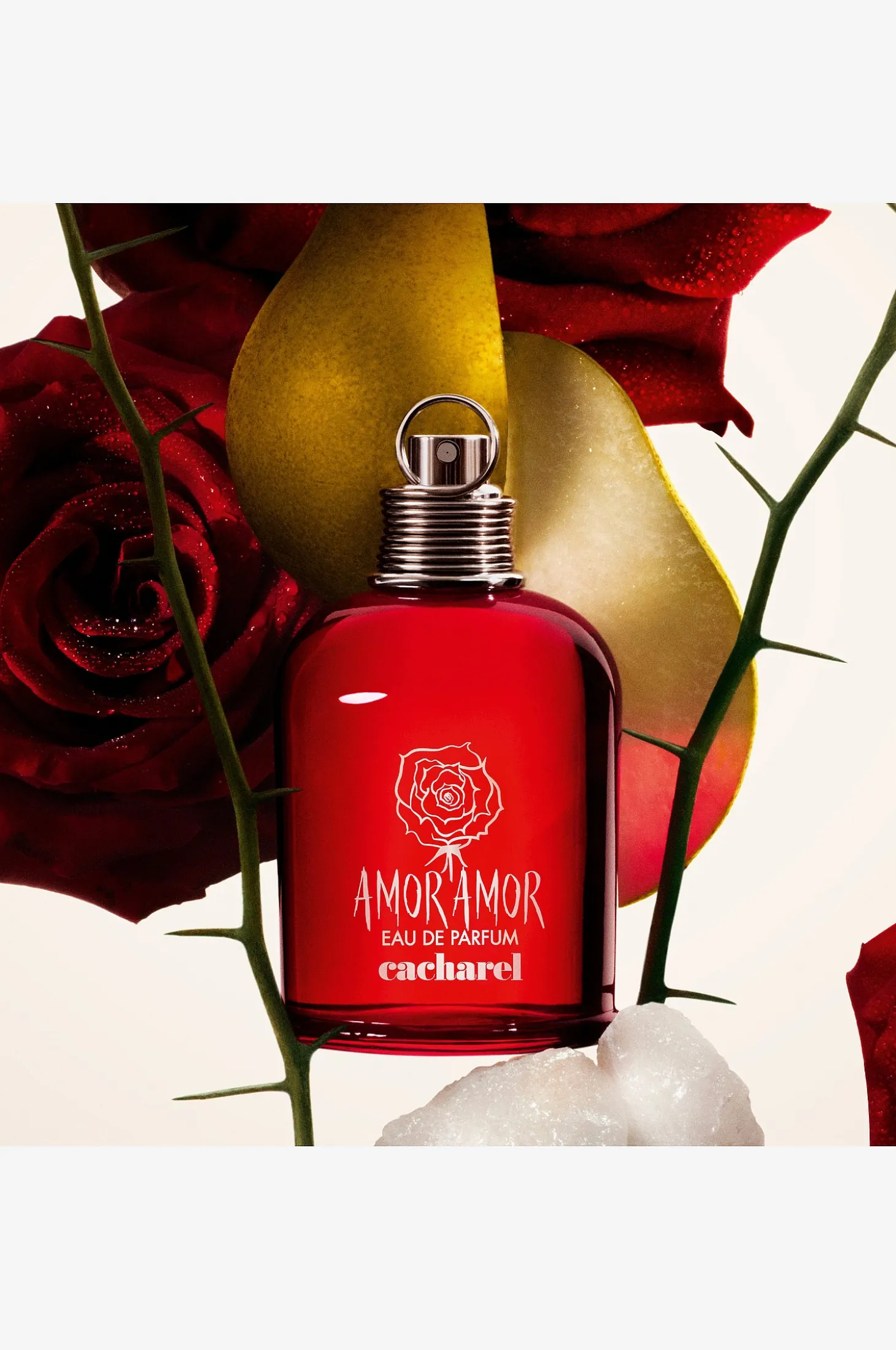 Amor Amor Edp