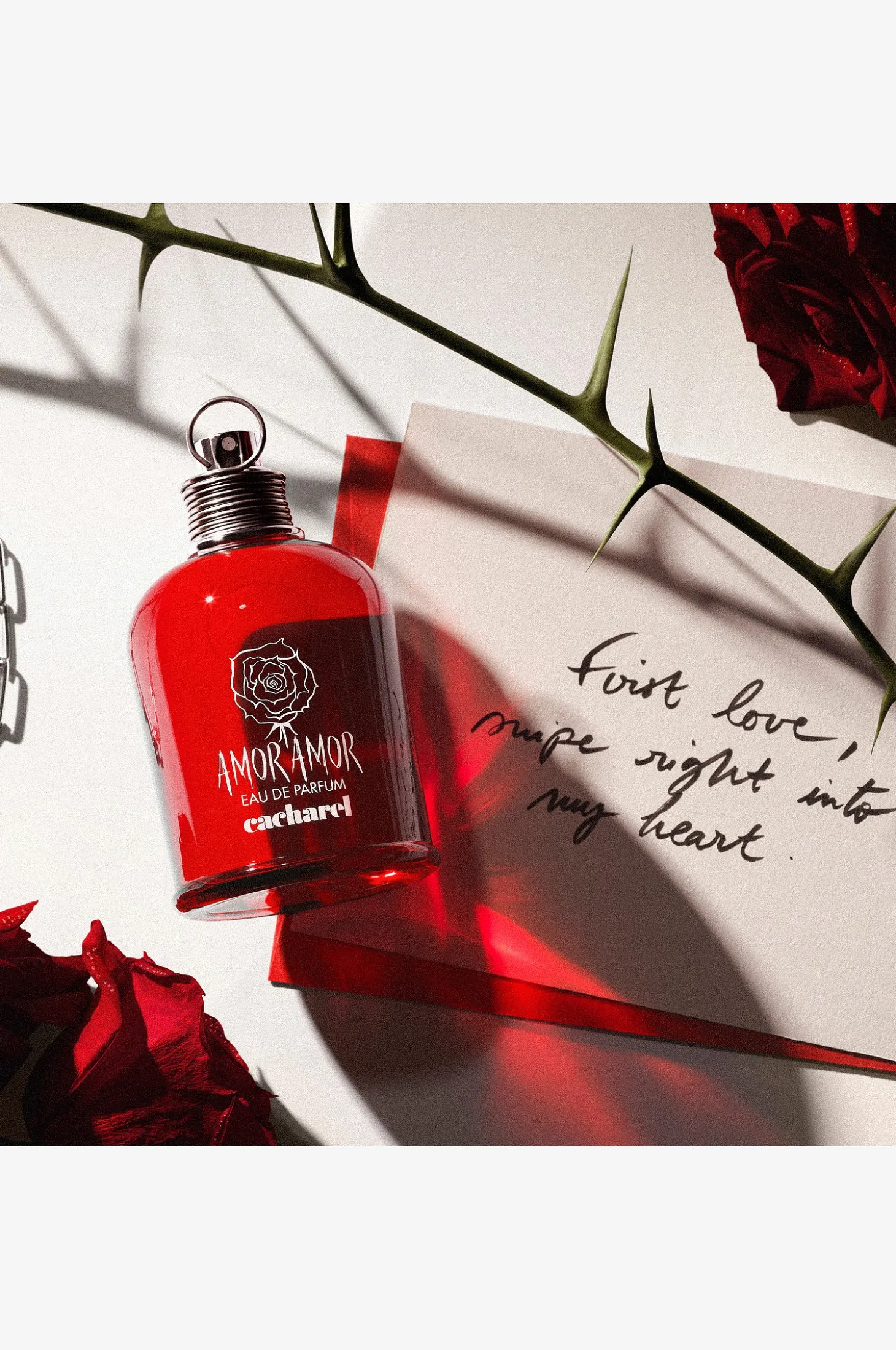Amor Amor Edp