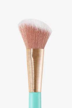 Angled Blush Brush