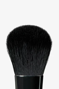 A19 Pro Brush Blush Brush