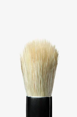 A10 Pro Brush Diffuser Brush