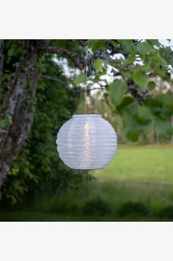 Aurinkokennokoriste Festival 21 cm