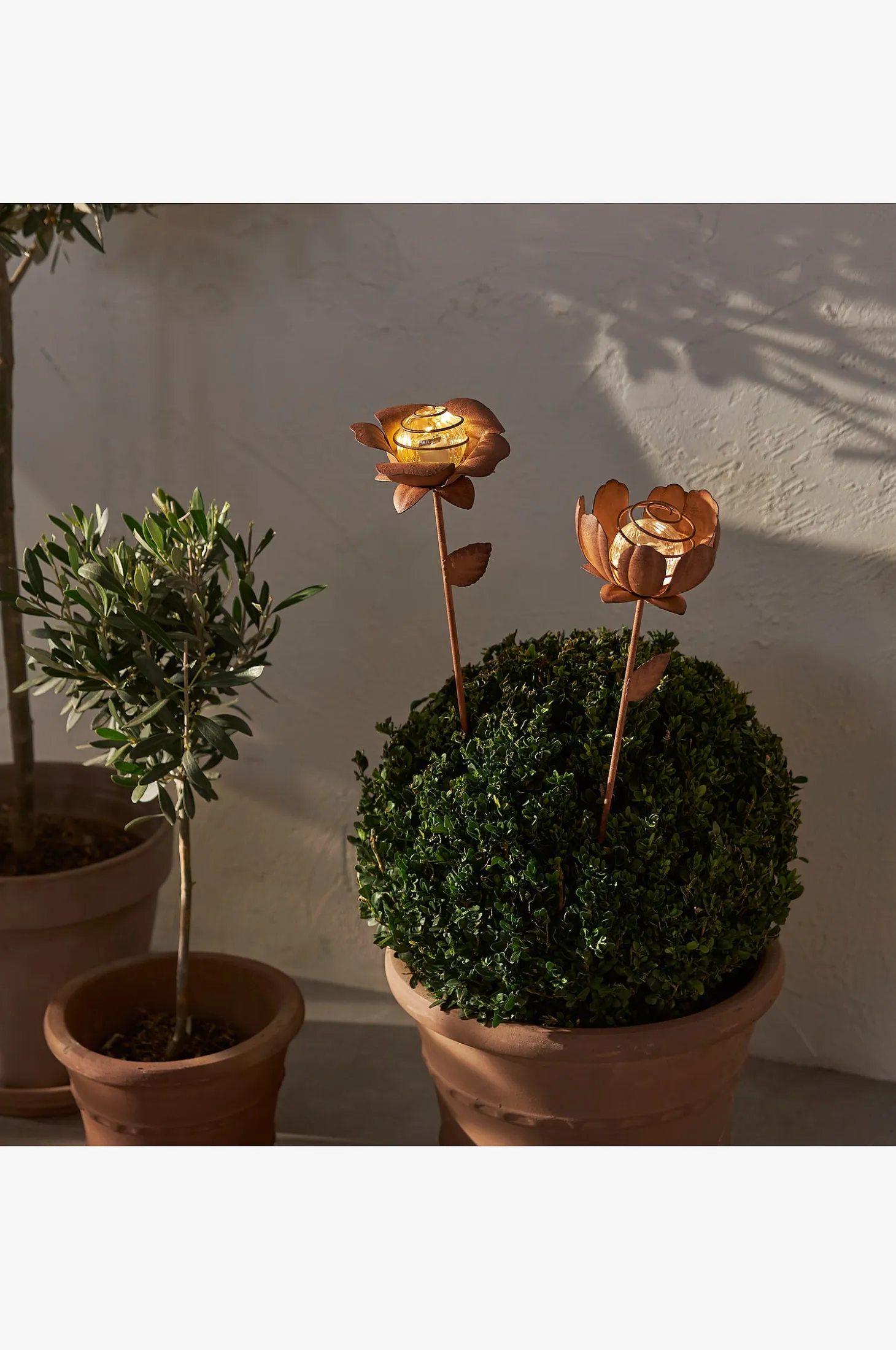 Aurinkokennokoriste Oxida Kukka 2-p