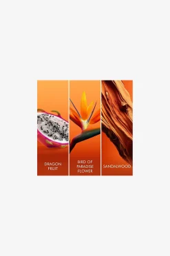 Bali Paradise Edt