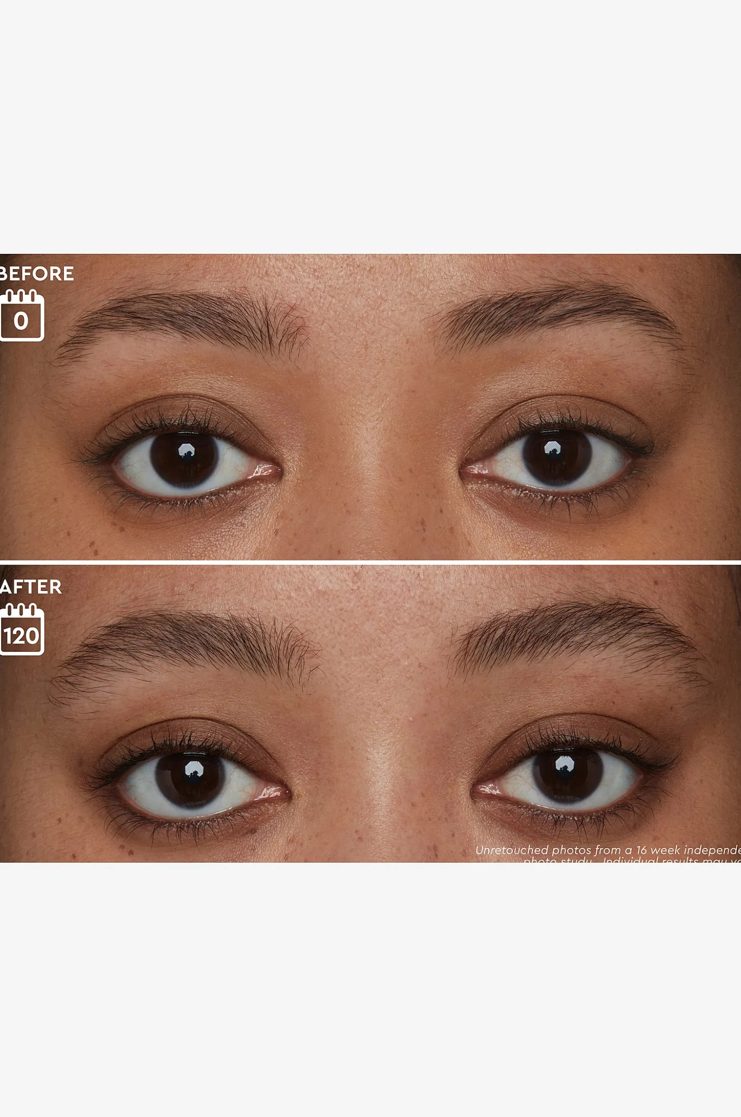 Brow Genius® Serum