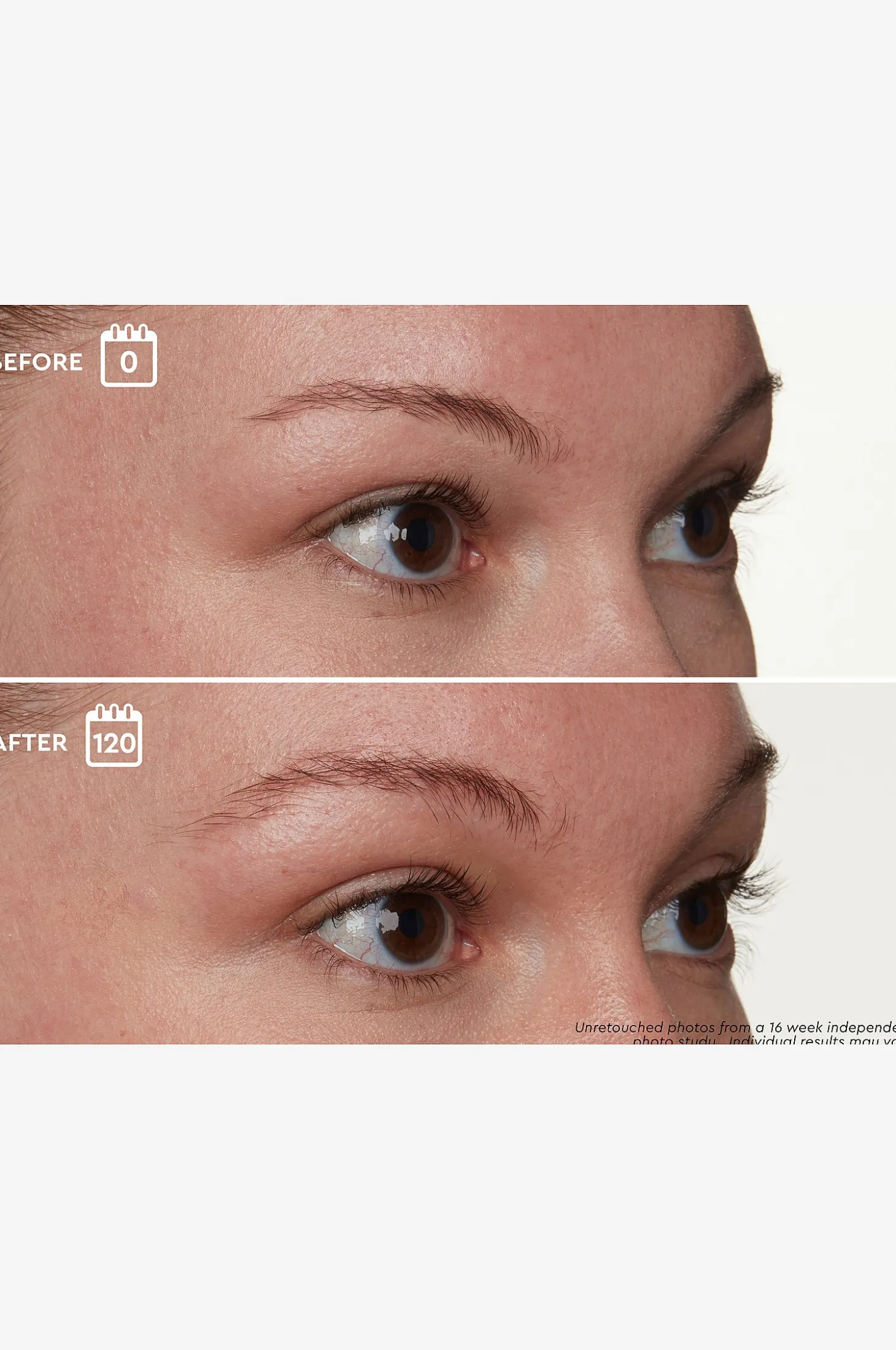 Brow Genius® Serum