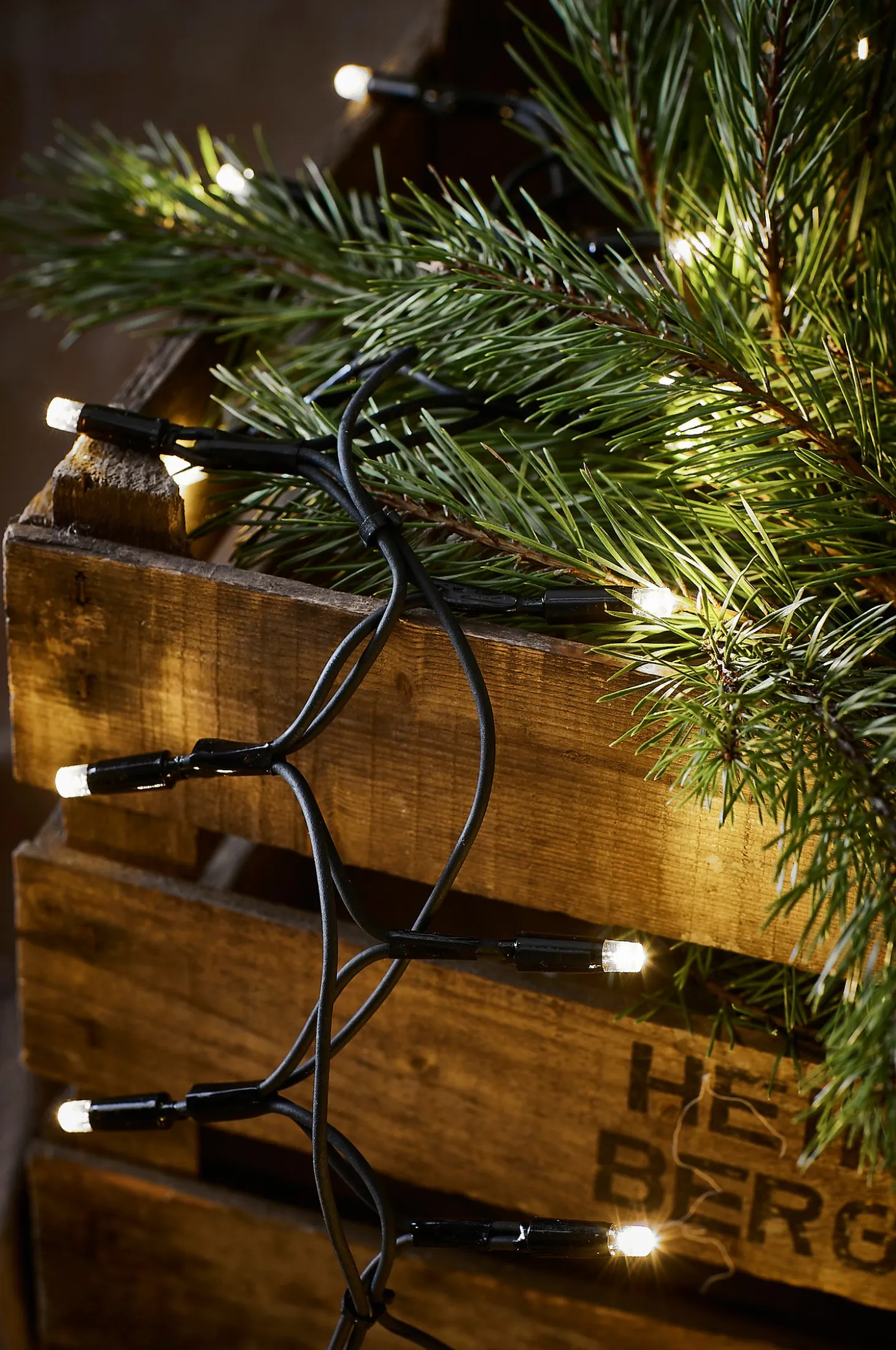 CHRISSLINE crab original extra valosarja 100 LED