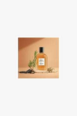 Collection Edp Amber Breeze 100ml