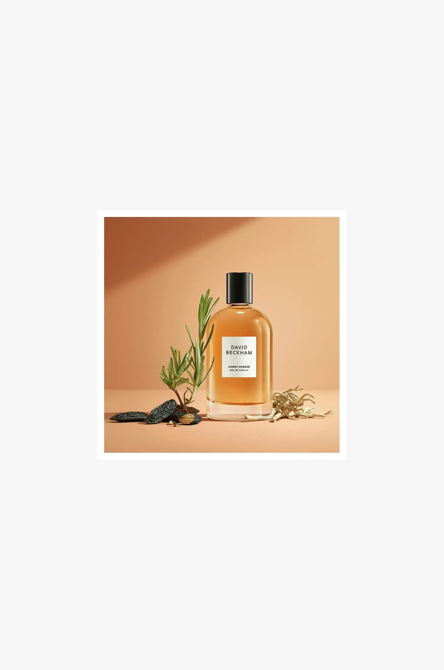Collection Edp Amber Breeze 100ml