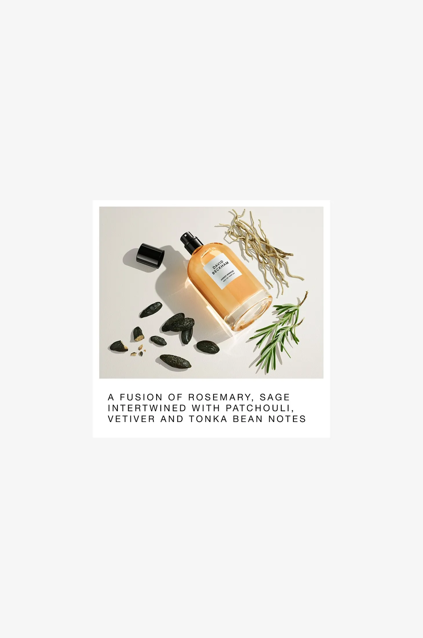 Collection Edp Amber Breeze 100ml