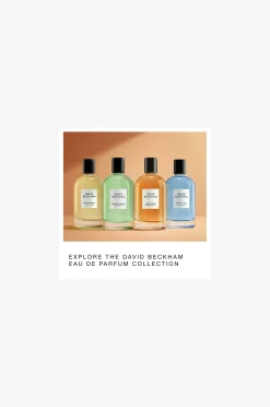 Collection Edp Amber Breeze 100ml