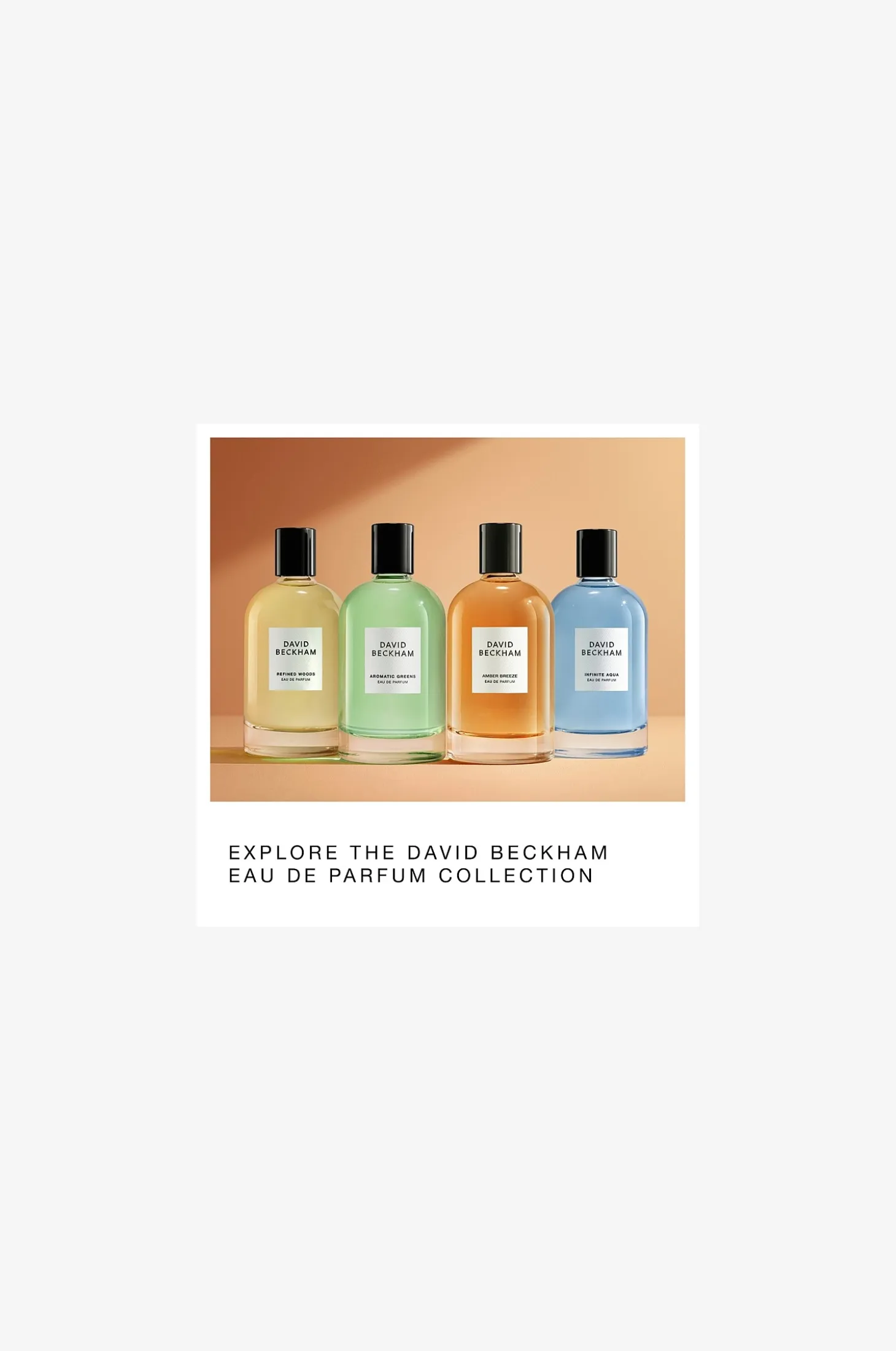Collection Edp Amber Breeze 100ml