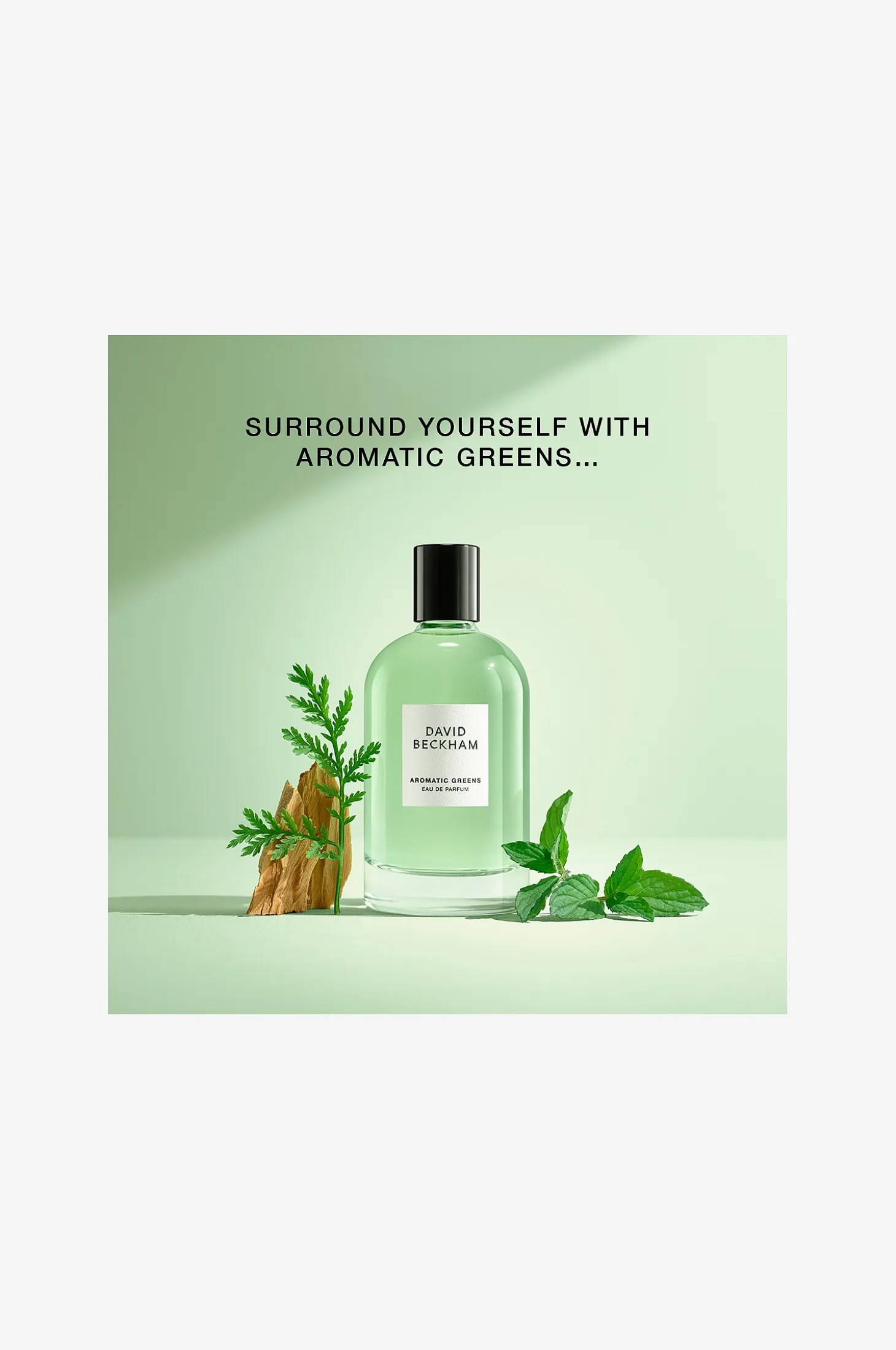 Collection EdP Aromatic Greens 100 ml