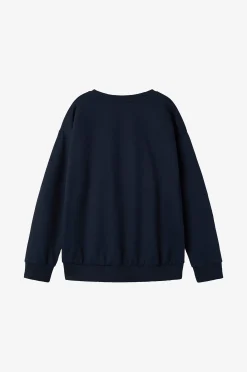 Collegepaita nkmDay Pokemon Nreg Sweat Bru