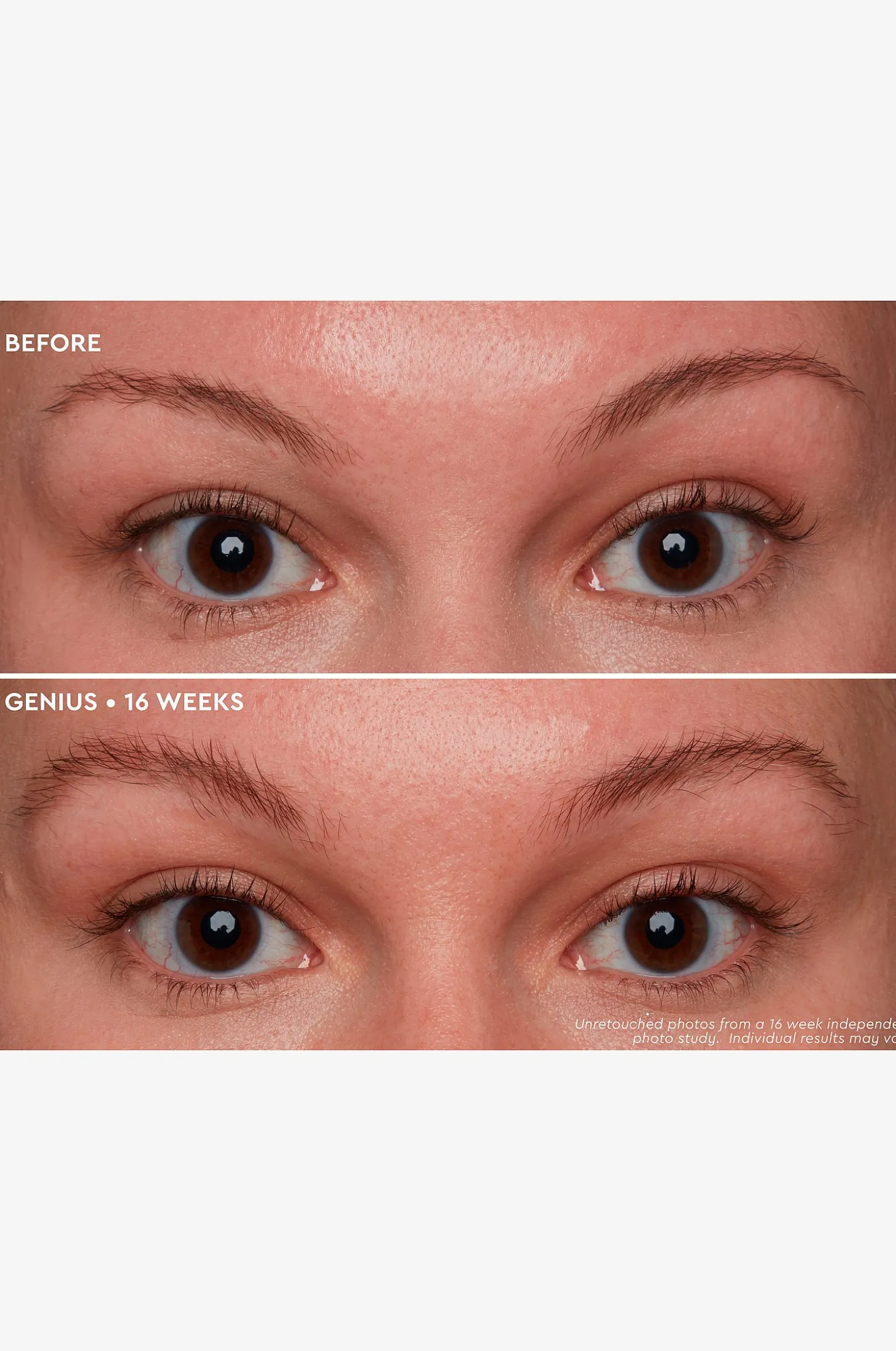 Deluxe Mini Brow Genius
