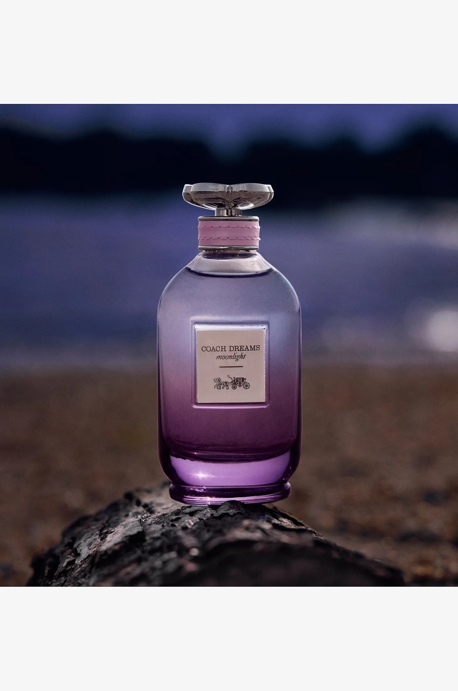 Dreams Moonlight Edp