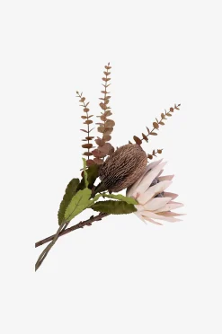 Kimppu King Protea