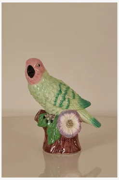 Koriste Parrot