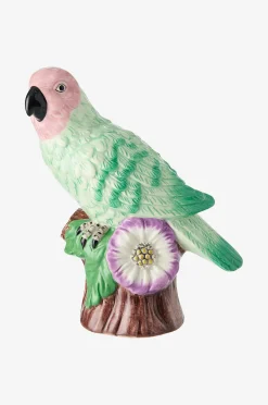 Koriste Parrot