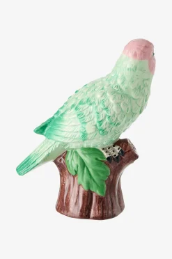 Koriste Parrot