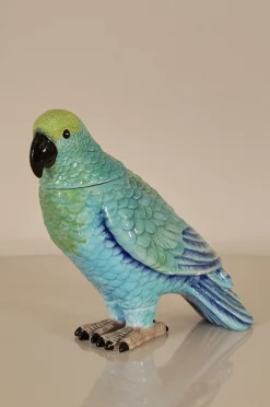 Koriste Parrot Box