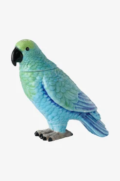 Koriste Parrot Box