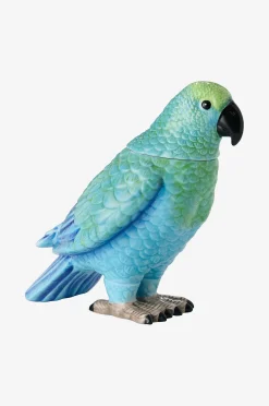 Koriste Parrot Box