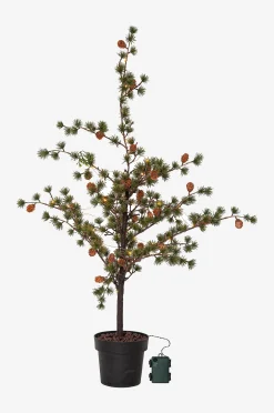 Koristepuu Larix 117 cm