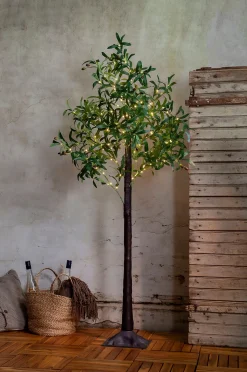 Koristepuu Olivec 180 cm