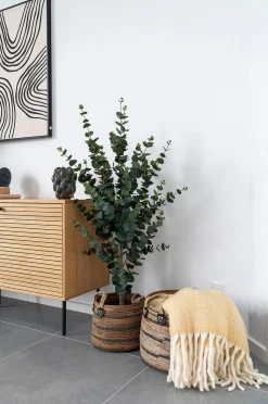 Korit Erba - 2 kpl