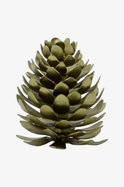 Korttipidike Pinus