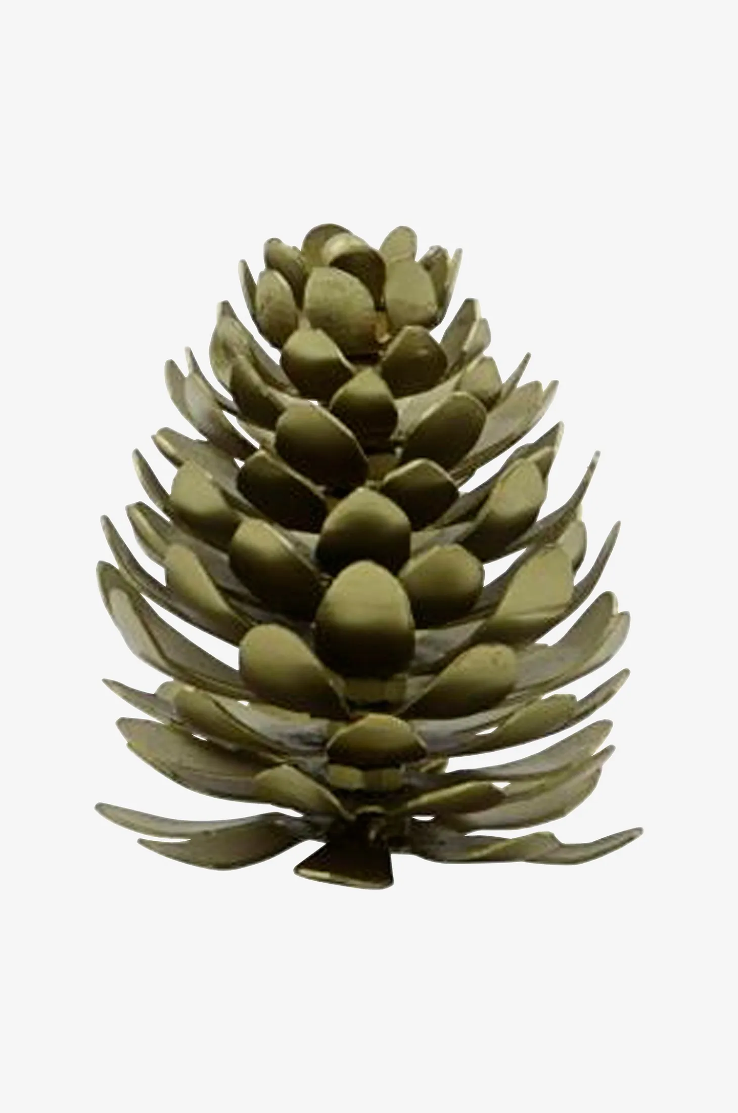 Korttipidike Pinus