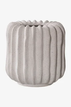 Kukkaruukku