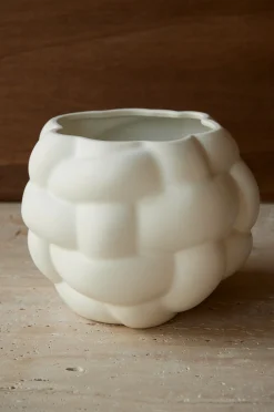 Kukkaruukku Astrid korkeus 20 cm