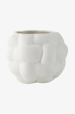 Kukkaruukku Astrid korkeus 20 cm