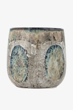 Kukkaruukku Cophia