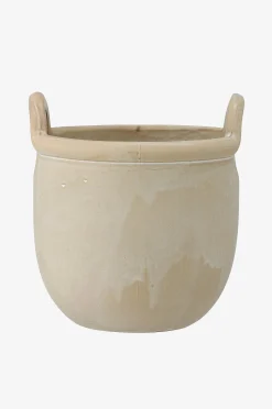 Kukkaruukku Janti