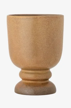 Kukkaruukku Parvez