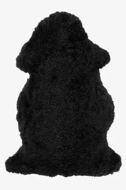 Lampaantalja Curly