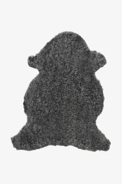 Lampaantalja Curly
