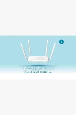 Älykäs reititin Eagle Pro AI N300 4G