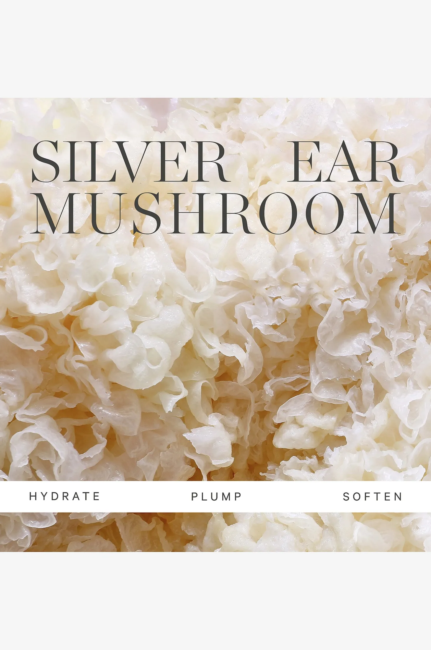 Milky Mushroom Gentle Cleansing Oil