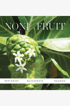 Noni Glow Face Oil 30 ml