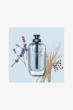 Open Road EdT 60 ml