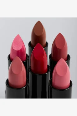 Perfect Moisture Lipstick
