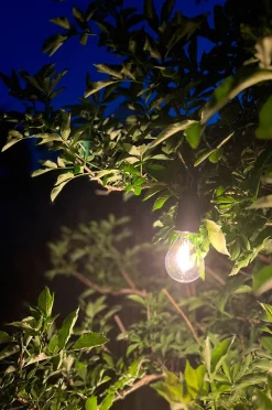 Rechargeable Light Bulb
