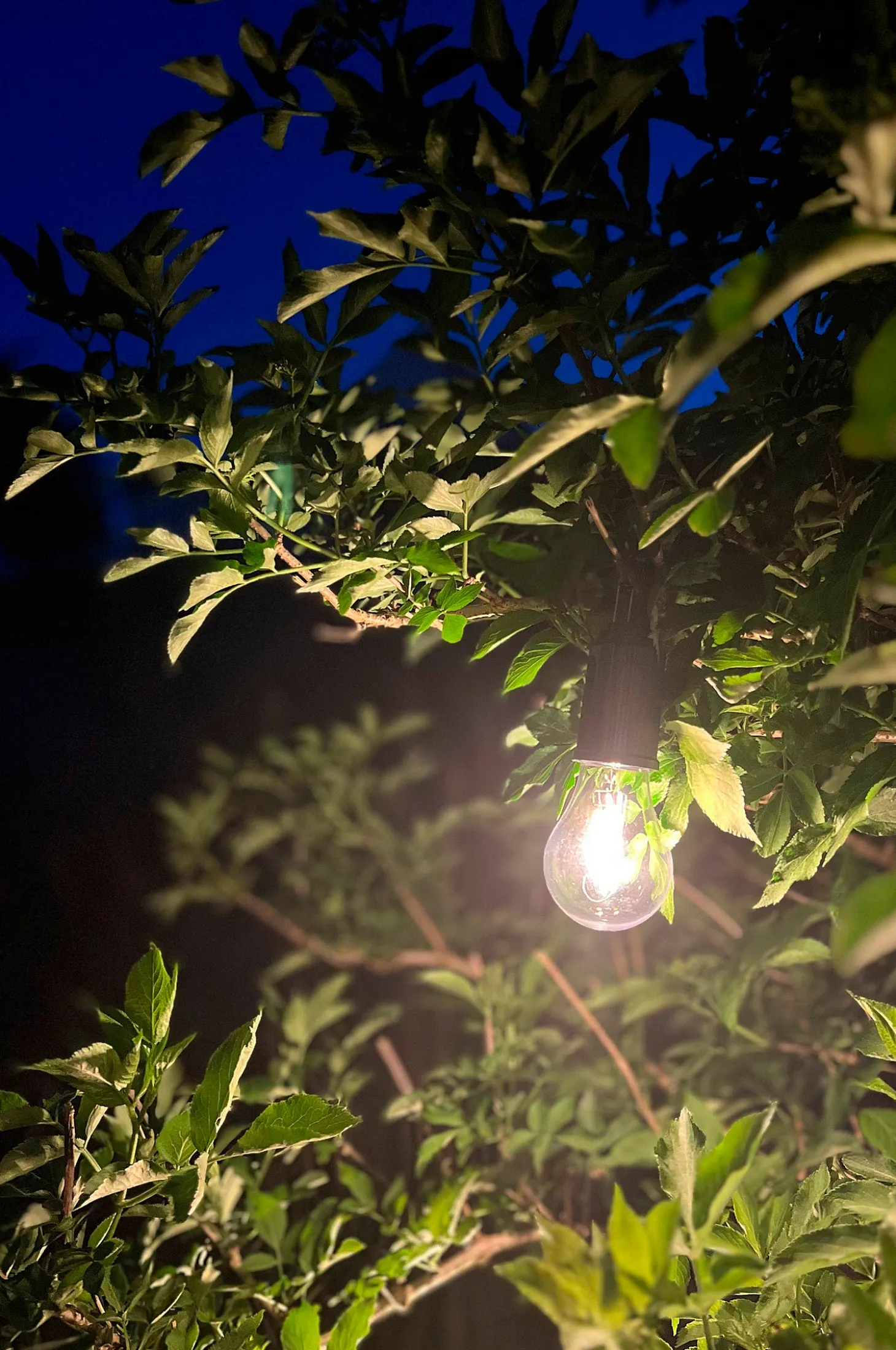 Rechargeable Light Bulb