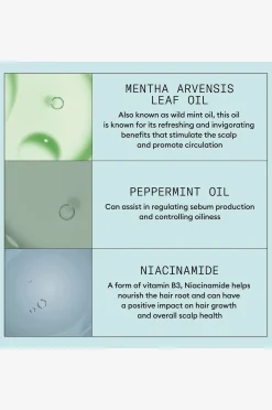 Scalp RECOVERY™ Kit