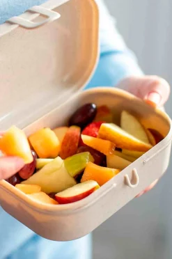 Setti, jossa 2 x Lunchbox ja aterimet Pascal Ready