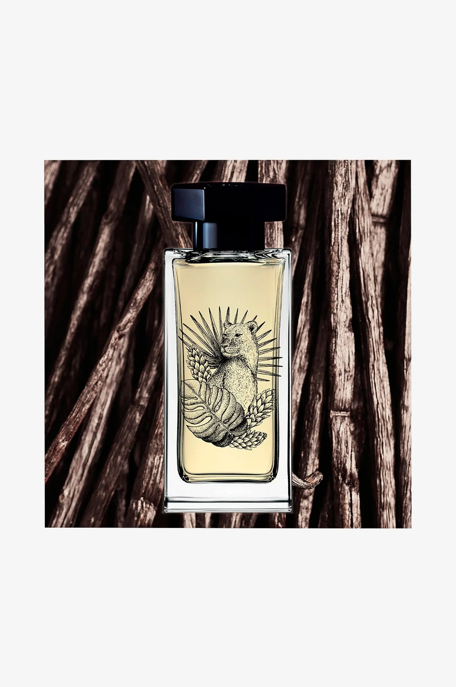 Singulière Nubica EdP 50 ml